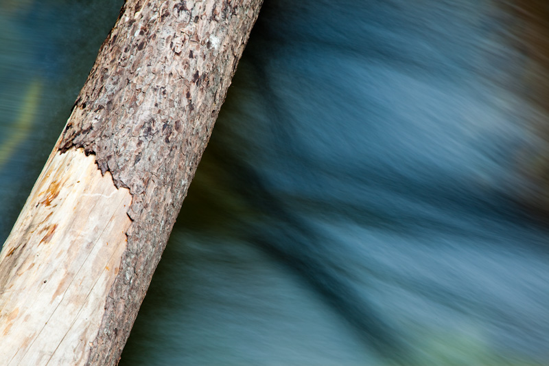 Fallen Tree And Small Cascade